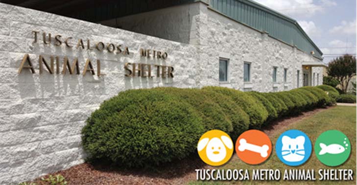 Carrie Fitts Real Estate supports Tuscaloosa Metro Animal Shelter