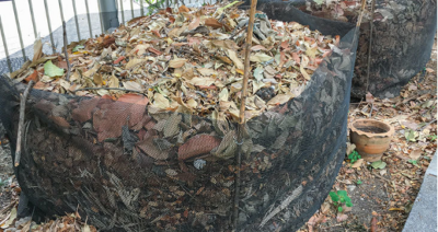 Dry leaves make for good composting material