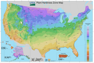 Plant climate zones in the United States