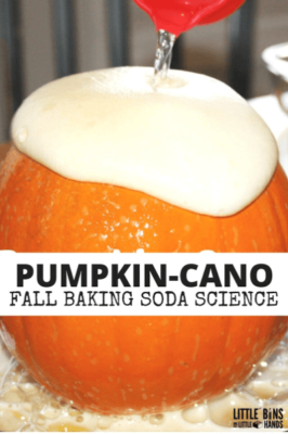 Pumpkin-cano