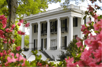 Springtime blooms at the UA President’s Mansion.